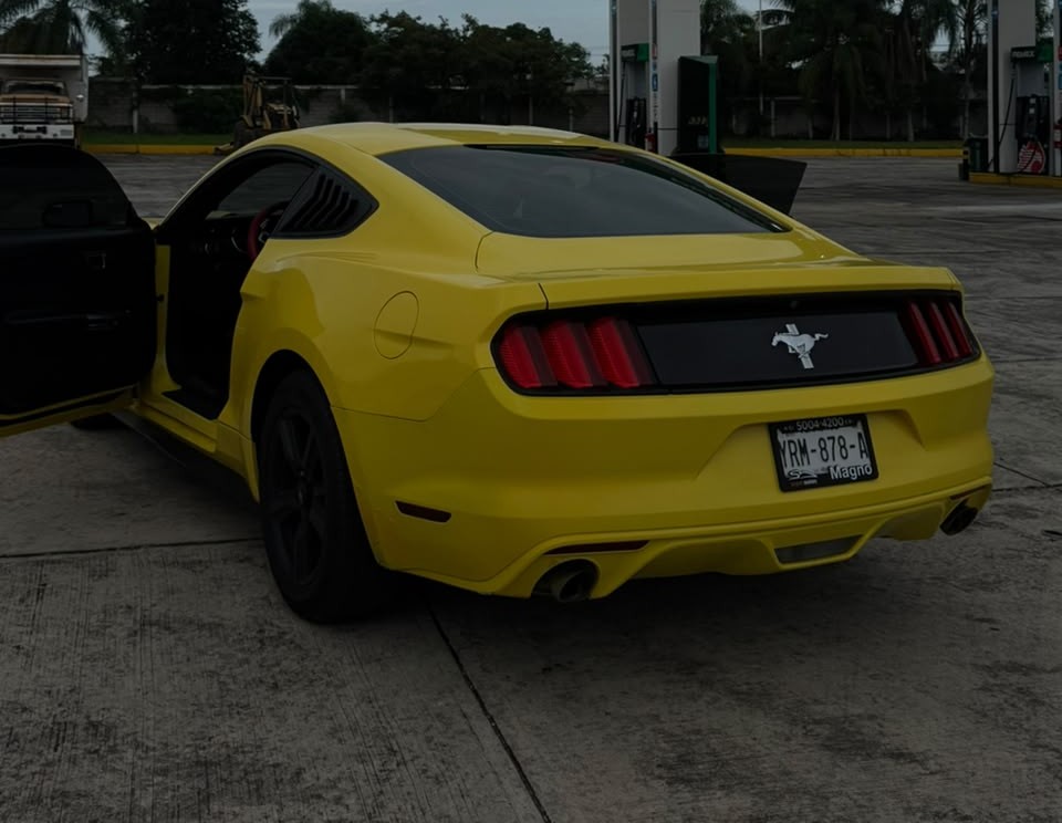 Mustang Vista Trasera