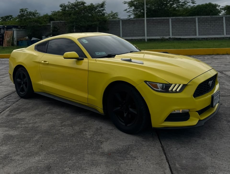 Mustang Vista Frontal